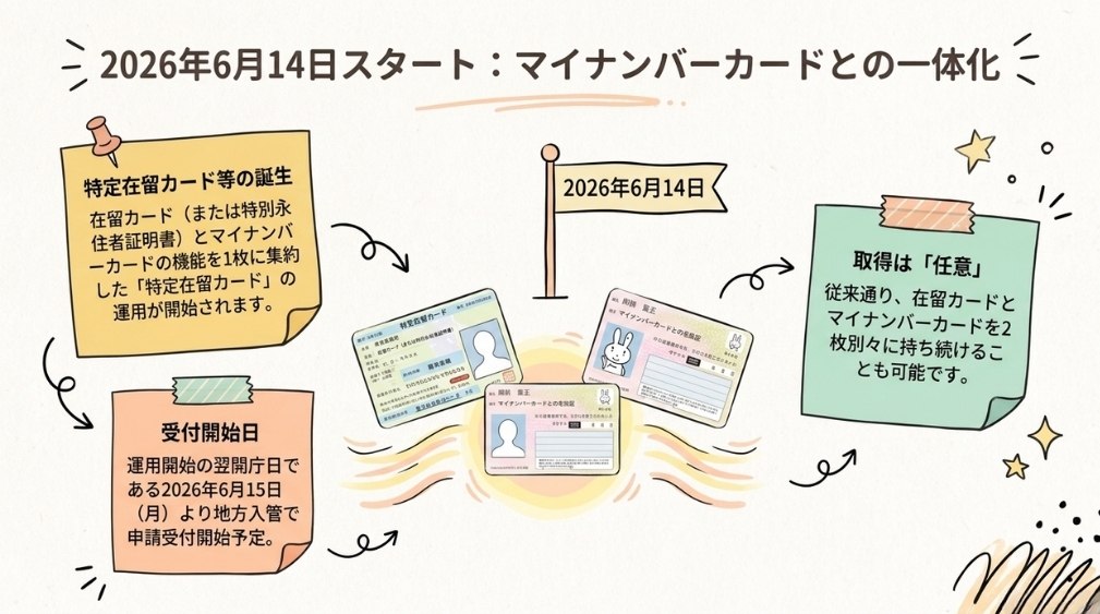 【2026年6月14日施行】特定在留カード等とは