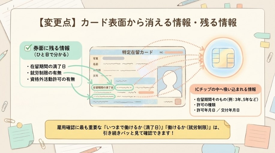 主な変更点