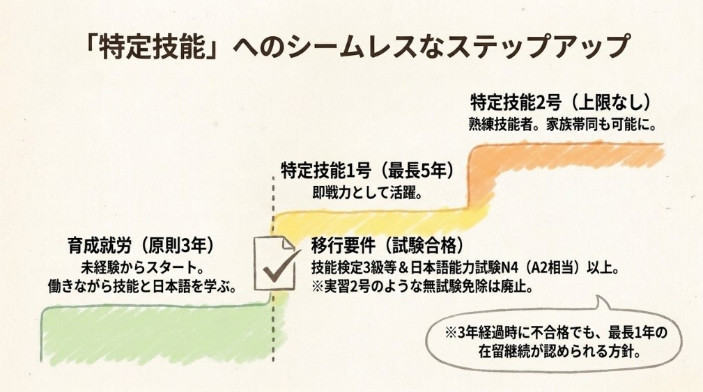 育成就労と特定技能の関係